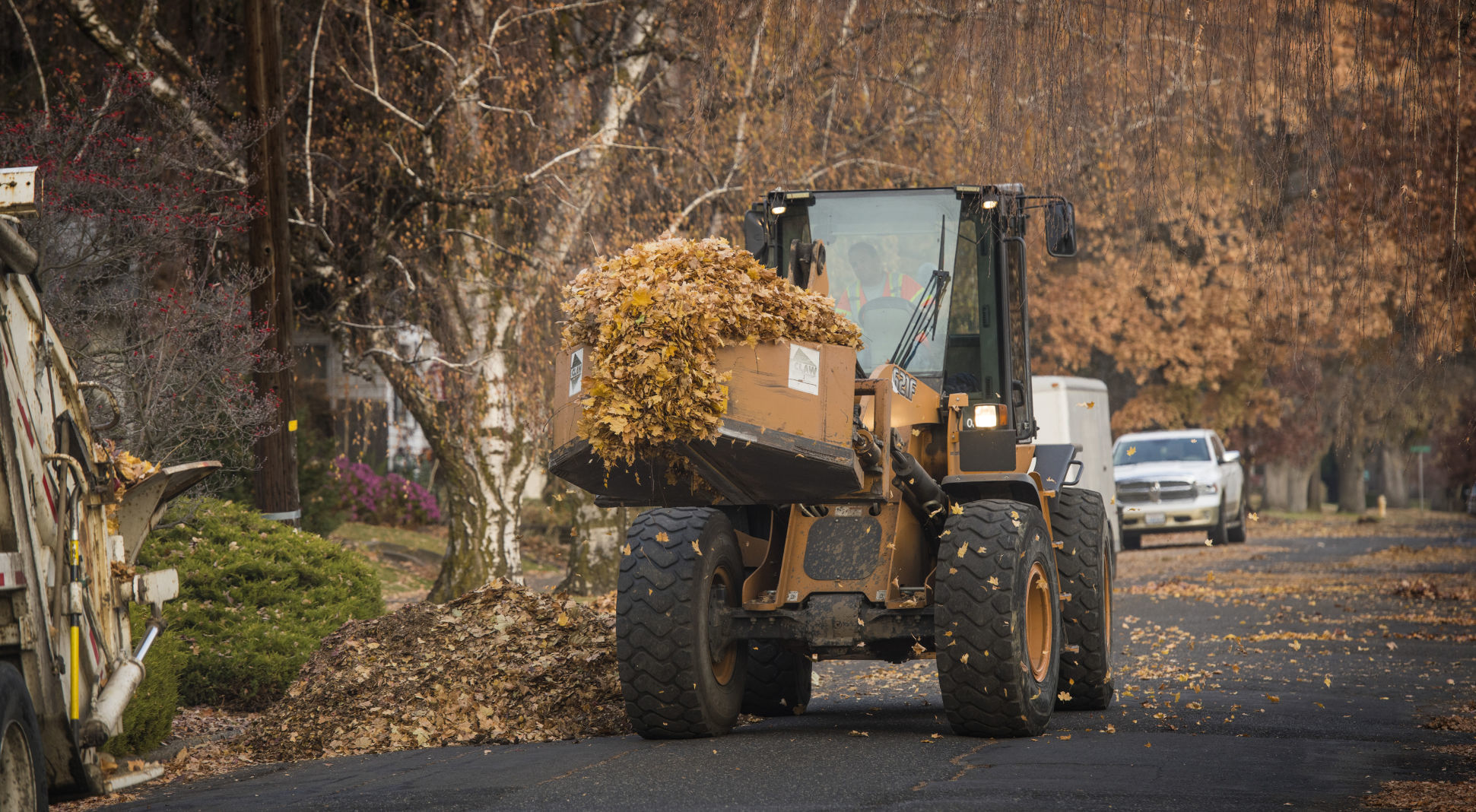 Leaf patrol